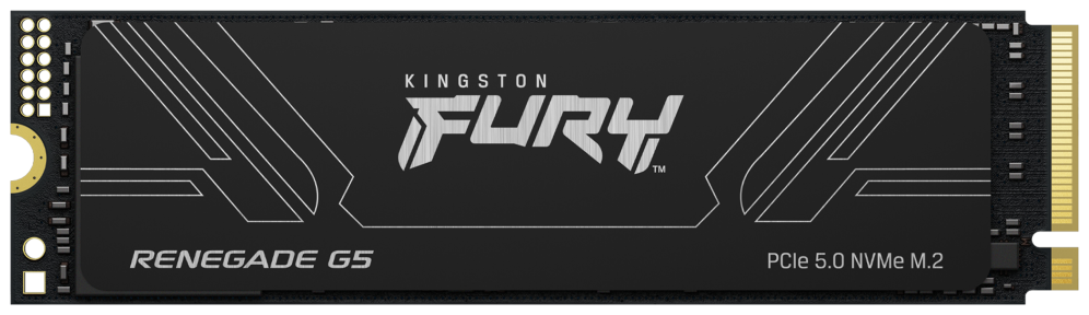 Kingston Technology 1T FURY RENEGADE G5 M.2 2280 NVMe SSD