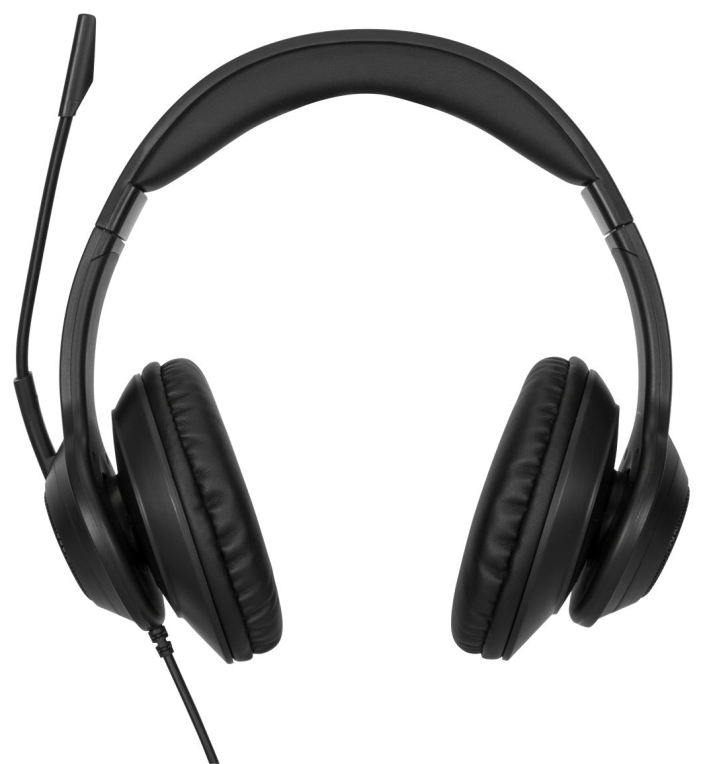 Targus AEH102GL auricular y casco Auriculares Alámbrico Diadema Llamadas/Música USB tipo A Negro