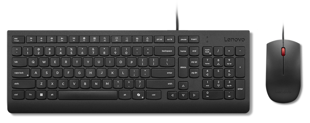Lenovo Essential Wired Combo (ES 172) teclado Ratón incluido Universal USB Español Negro
