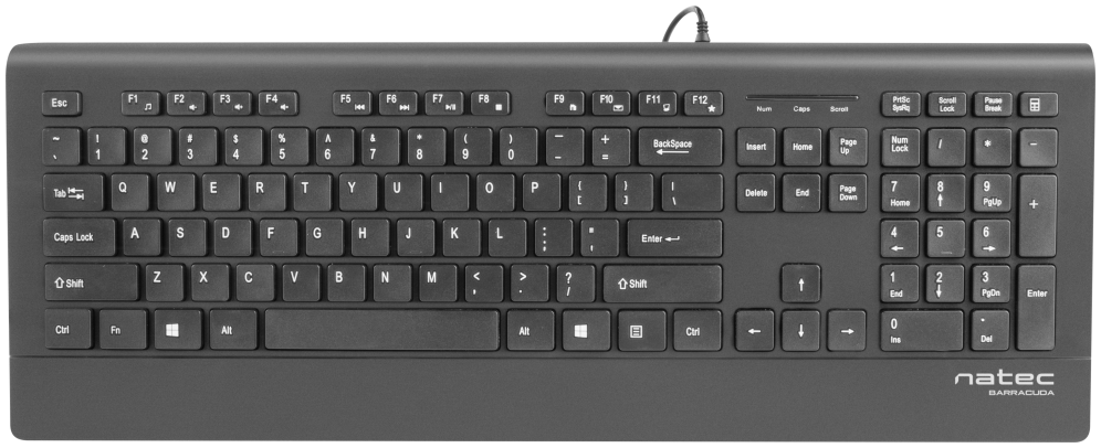 NATEC Barracuda teclado Universal USB QWERTY Español Negro