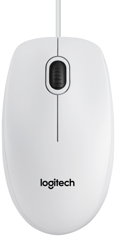 Logitech B100 ratón Oficina Ambidextro USB tipo A Óptico 800 DPI