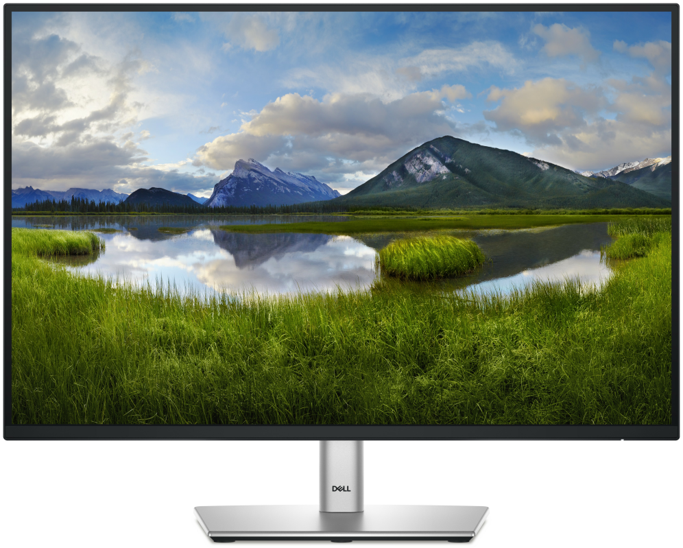 DELL Pro Plus P2425E pantalla para PC 61,1 cm (24.1") 1920 x 1200 Pixeles WUXGA LCD Negro