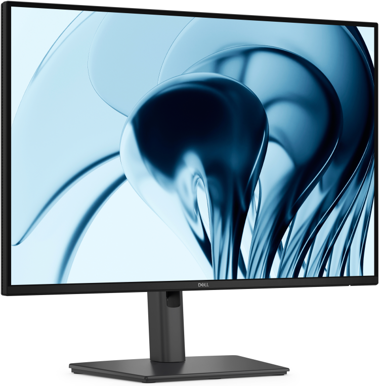 DELL Pro P P2426 pantalla para PC 61,2 cm (24.1") 1920 x 1200 Pixeles WUXGA LCD Gris