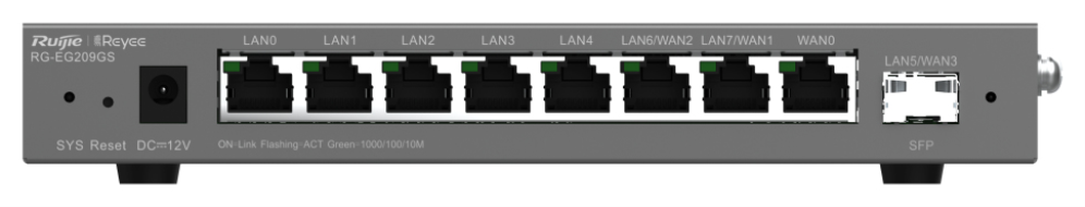 Ruijie Networks RG-EG209GS router Gigabit Ethernet Gris