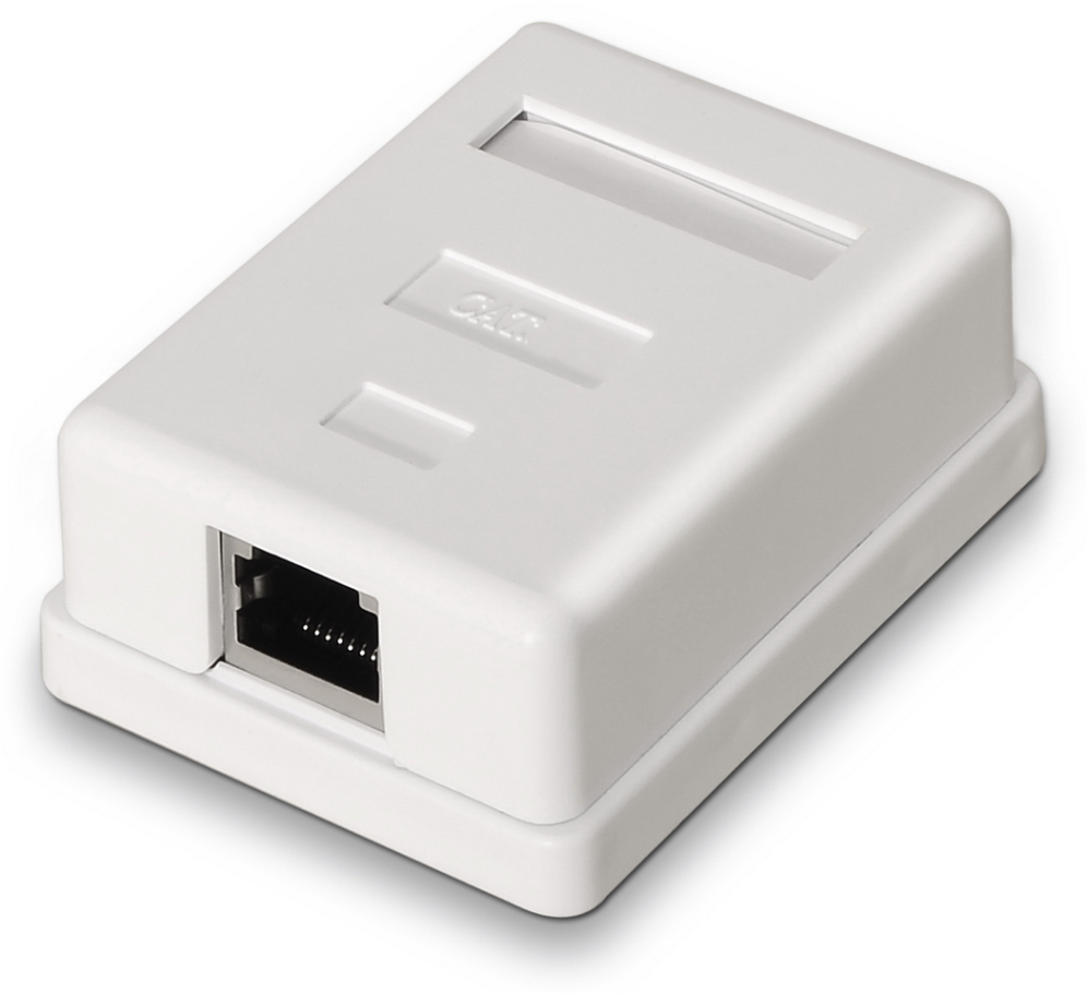 AISENS A139-0303 caja de conexiones de red Cat6 Blanco