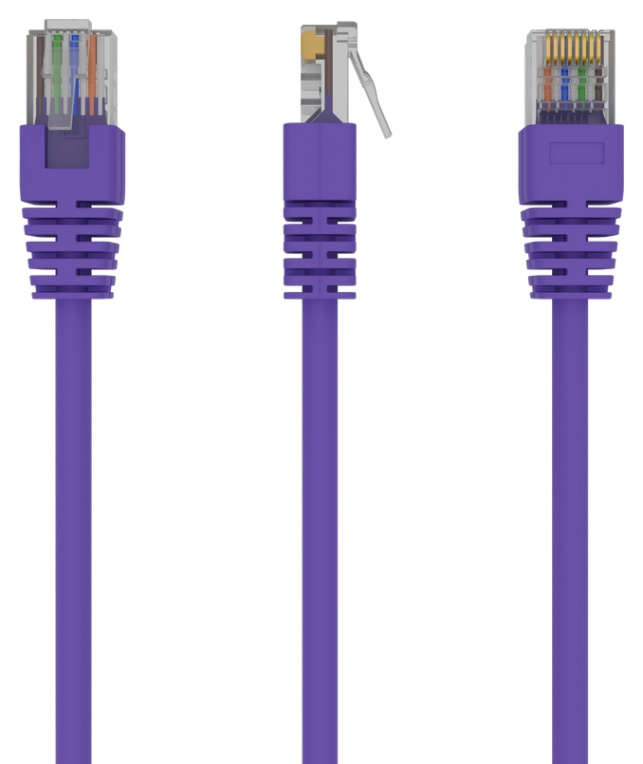 Gembird RJ45/RJ45 Cat5e 0.5m cable de red Púrpura 0,5 m U/UTP (UTP)